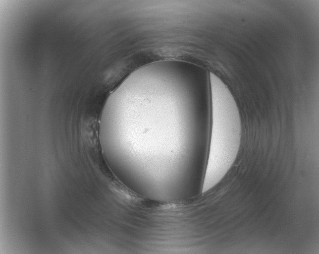 X0000065970237200603031137