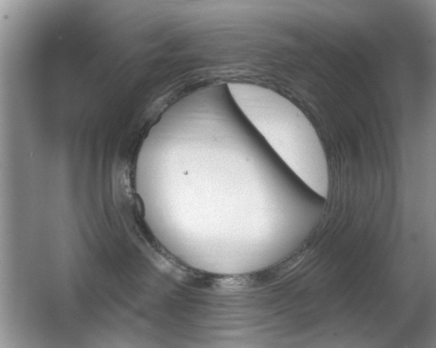 X0000065970238200603031137