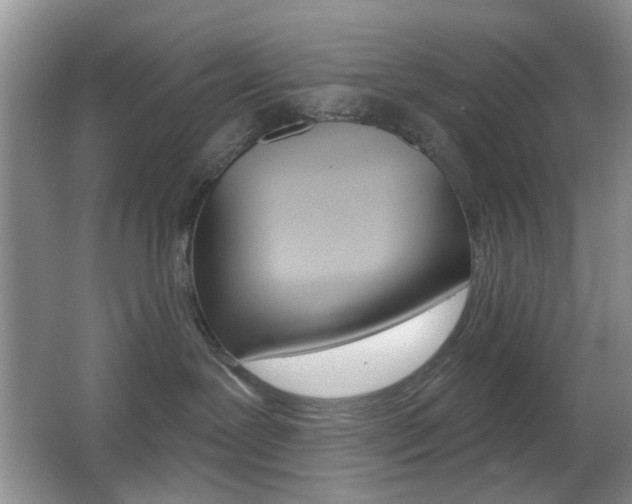 X0000065970239200603031137