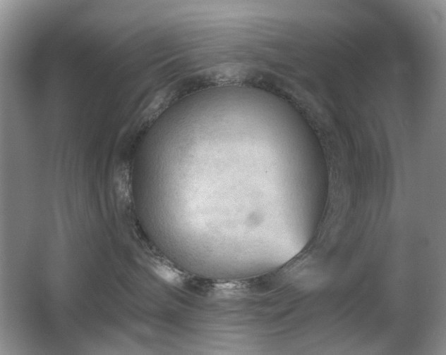 X0000065970240200603031136