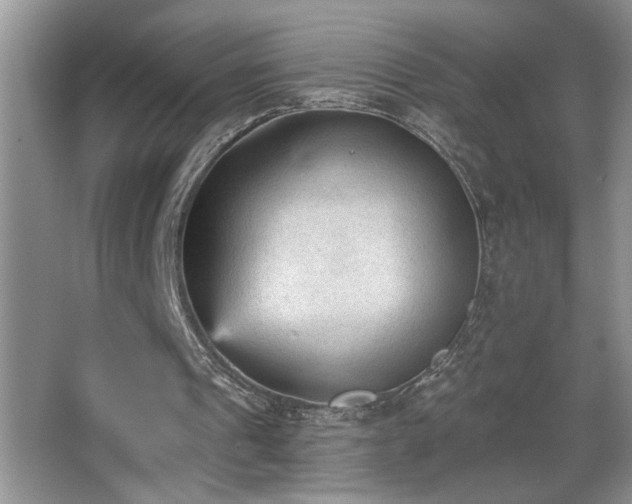 X0000065970241200603031136