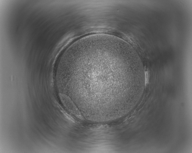 X0000065970243200603031136