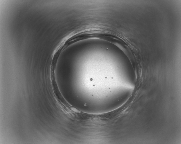 X0000065970244200603031136