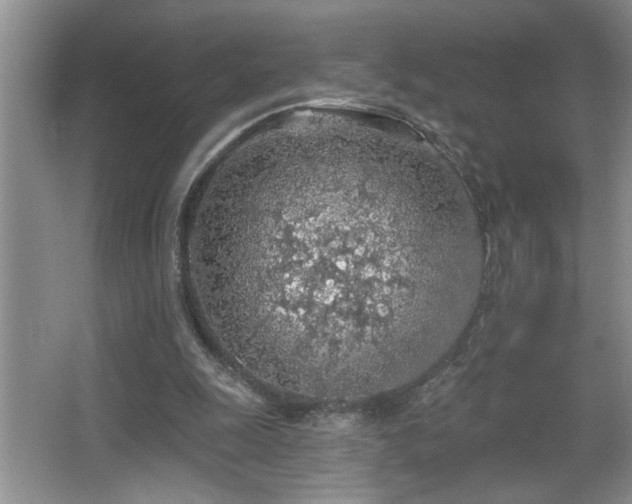 X0000065970247200603031136