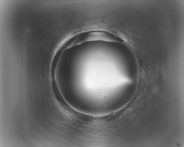 X0000065970248200603031136