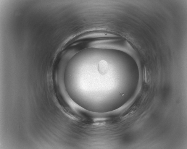 X0000065970252200603031136