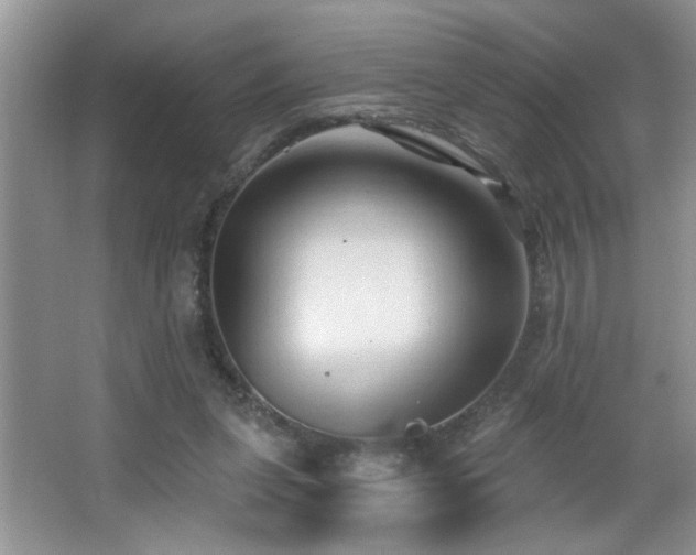 X0000065970255200603031136