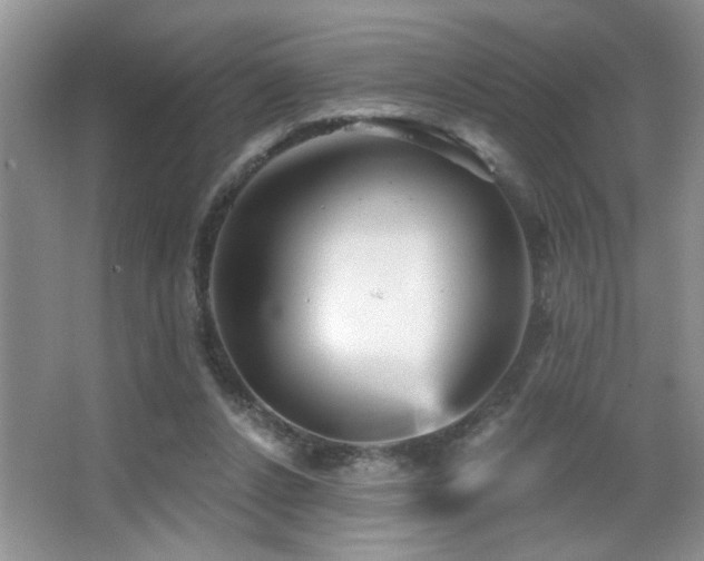 X0000065970256200603031136