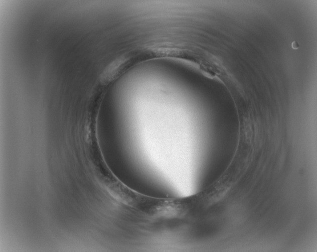 X0000065970259200603031136