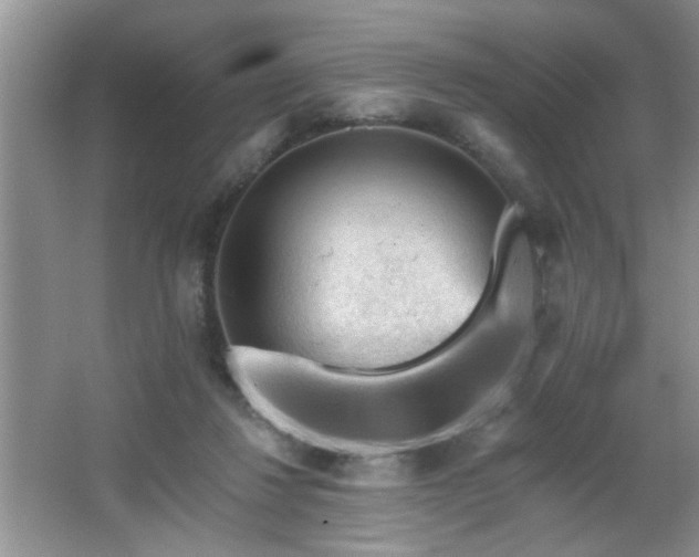 X0000065970260200603031136