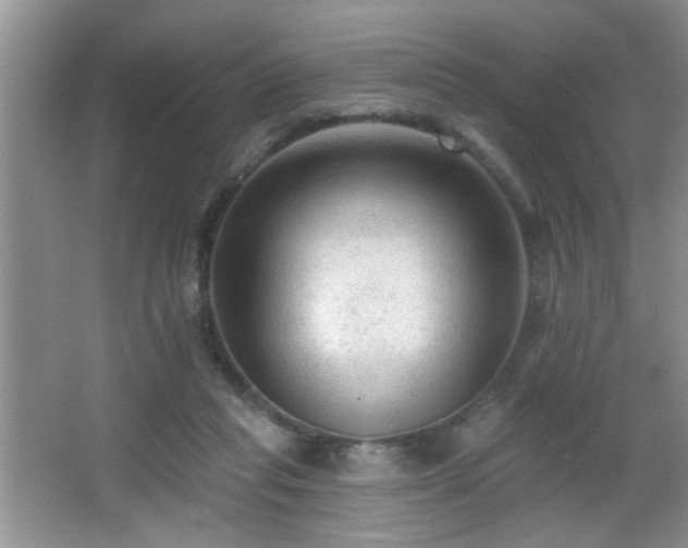 X0000065970261200603031136