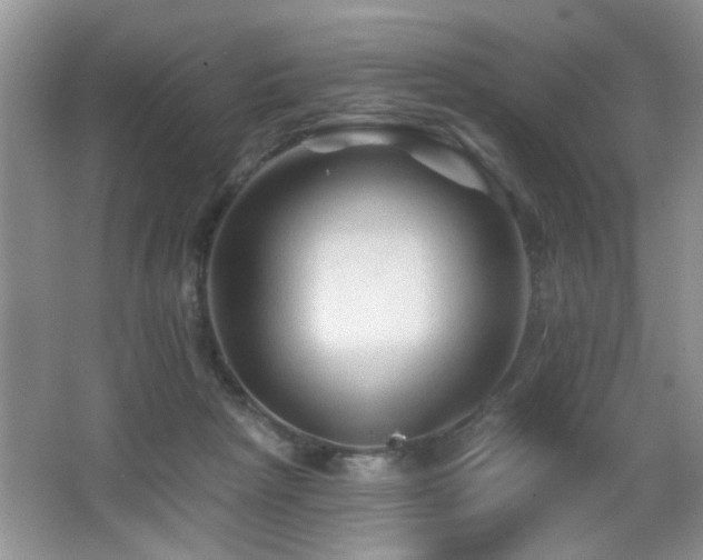 X0000065970265200603031136