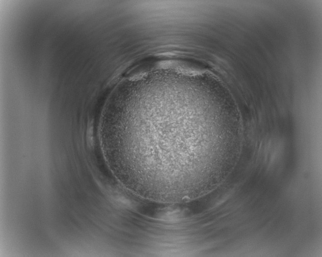 X0000065970267200603031136