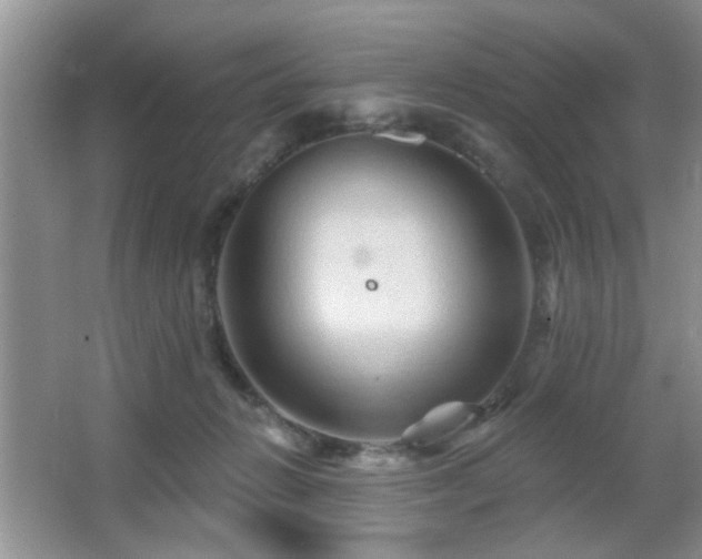 X0000065970270200603031136