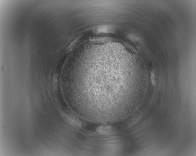 X0000065970271200603031136