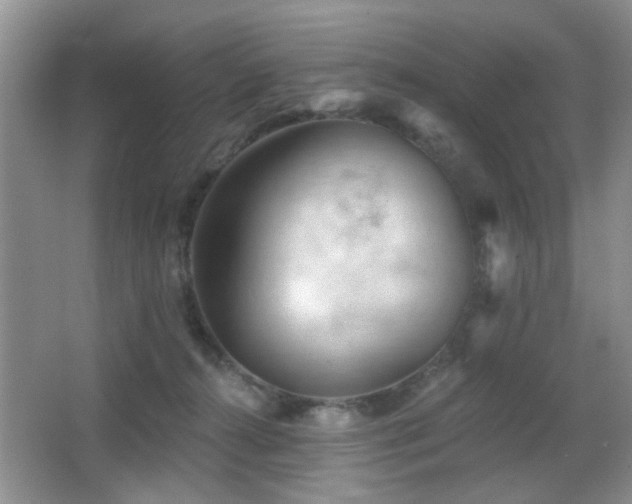 X0000065970272200603031136