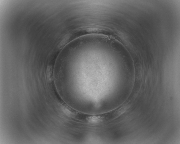 X0000065970273200603031136