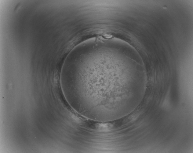 X0000065970277200603031136