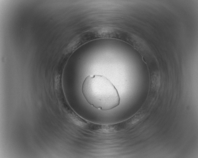 X0000065970278200603031136