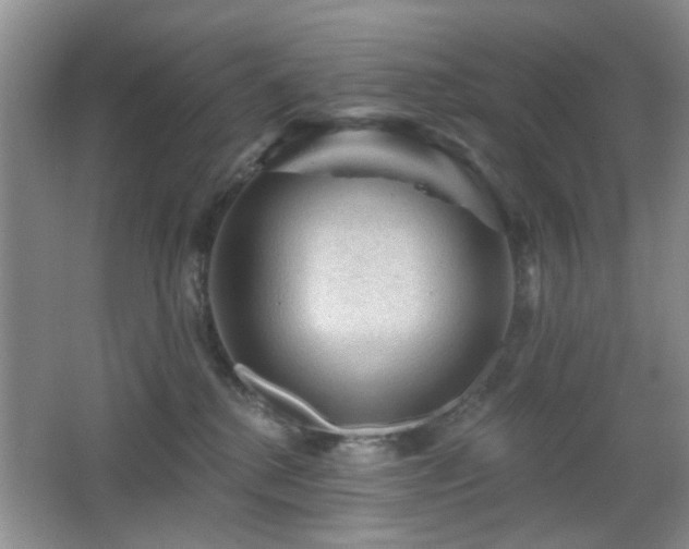 X0000065970280200603031136