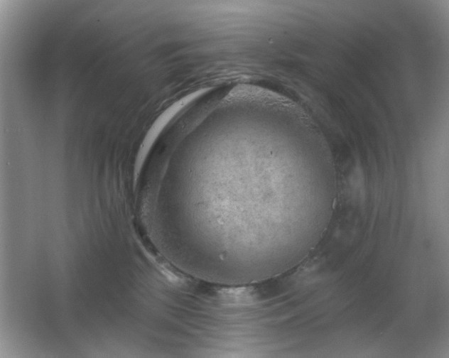 X0000065970281200603031136