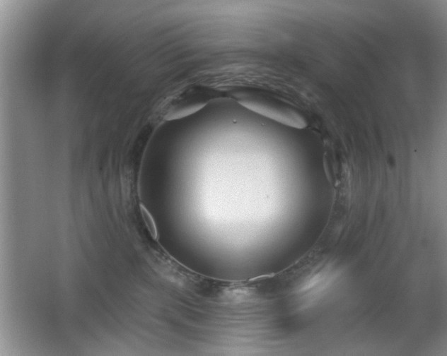 X0000065970283200603031136