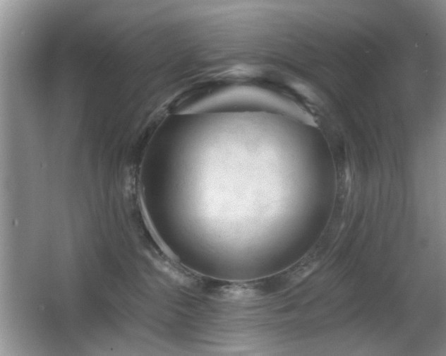 X0000065970284200603031136