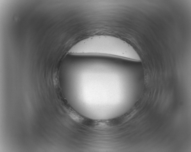 X0000065970285200603031136