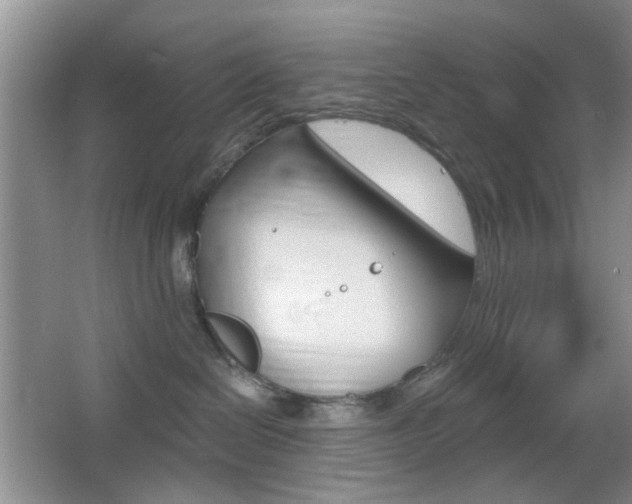 X0000065970286200603031136