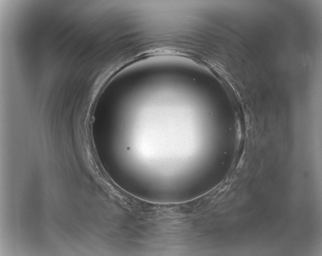 X0000065970289200603031136