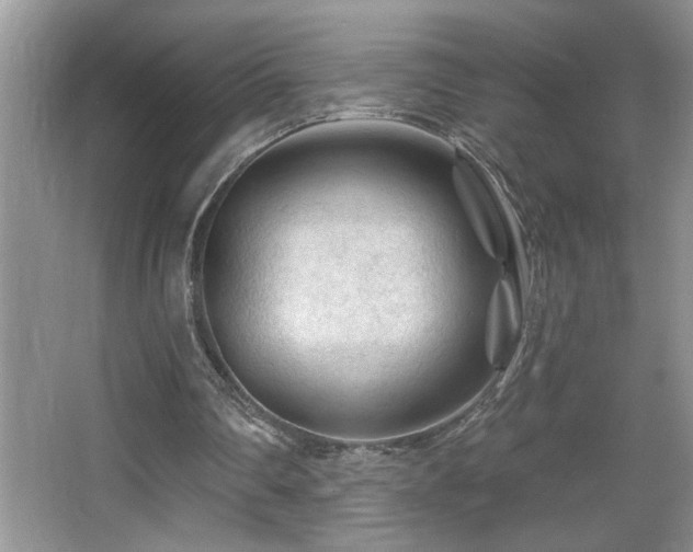 X0000065970290200603031136