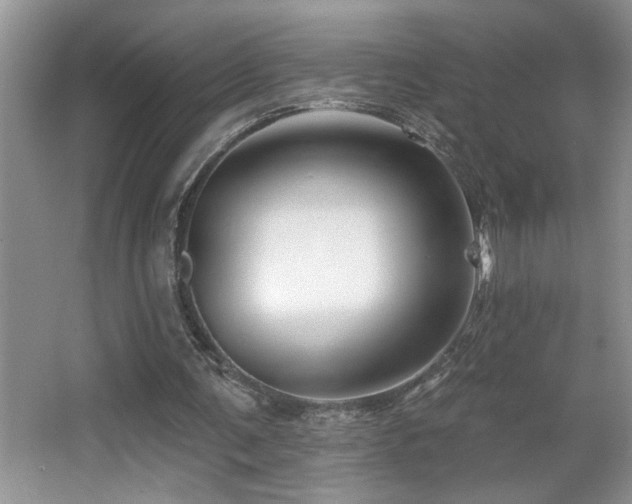 X0000065970291200603031136