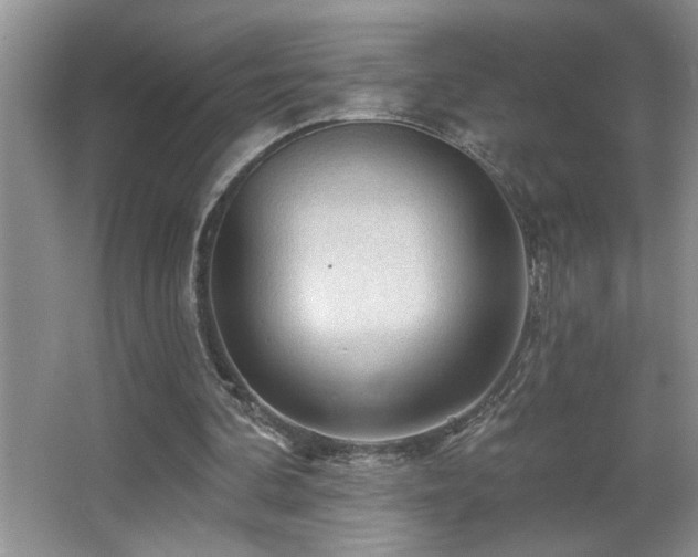 X0000065970292200603031136