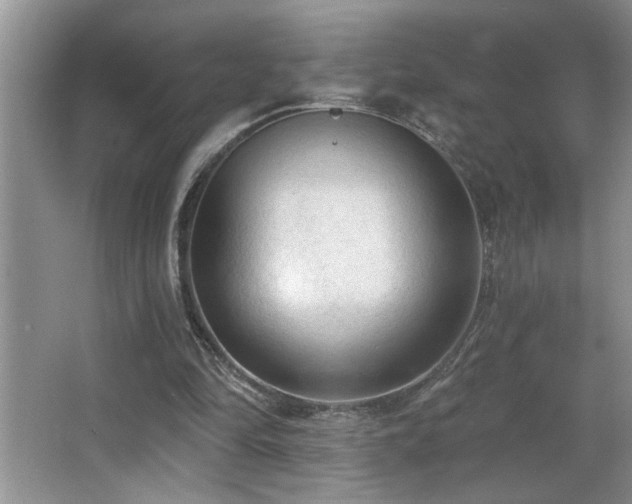 X0000065970294200603031136