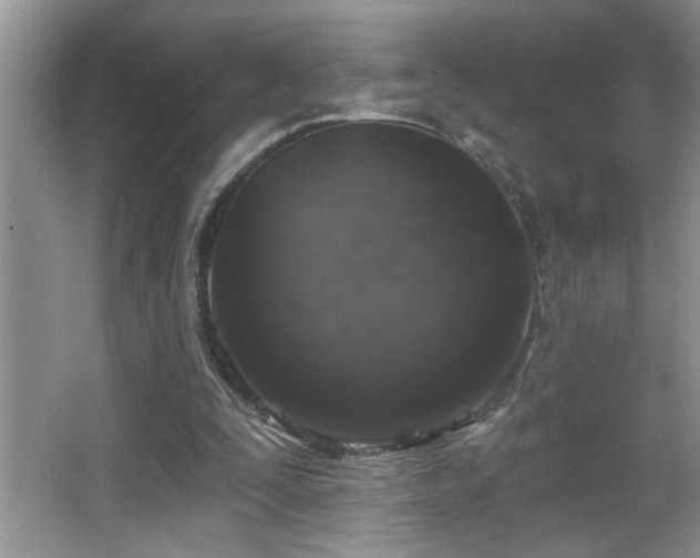 X0000065970295200603031136