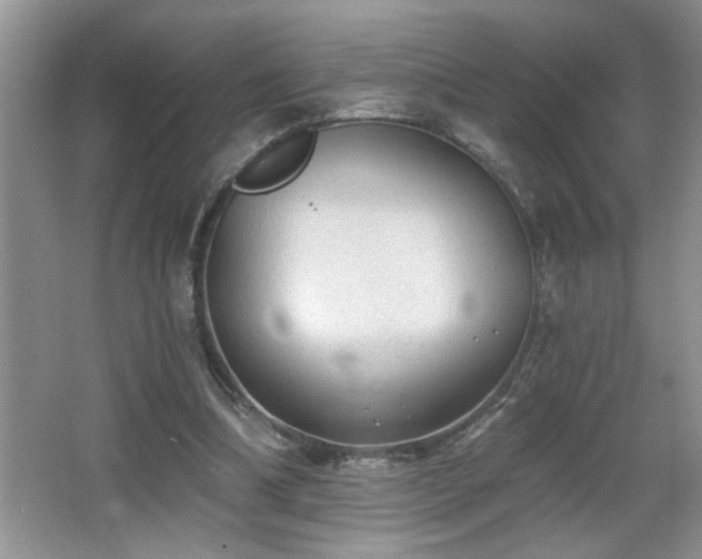 X0000065970298200603031136