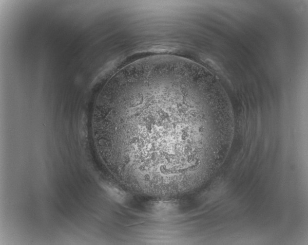 X0000065970303200603031135