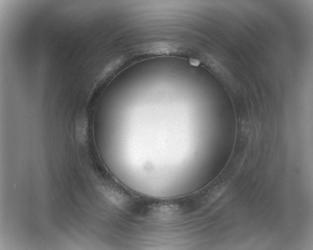 X0000065970304200603031135