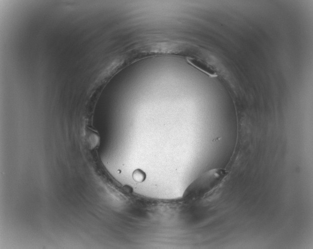 X0000065970305200603031135