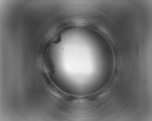 X0000065970307200603031135