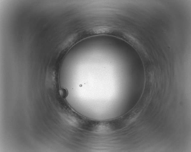 X0000065970308200603031135