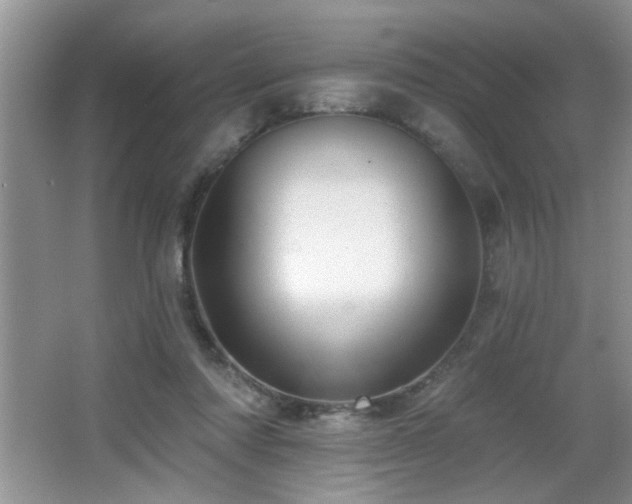 X0000065970310200603031135