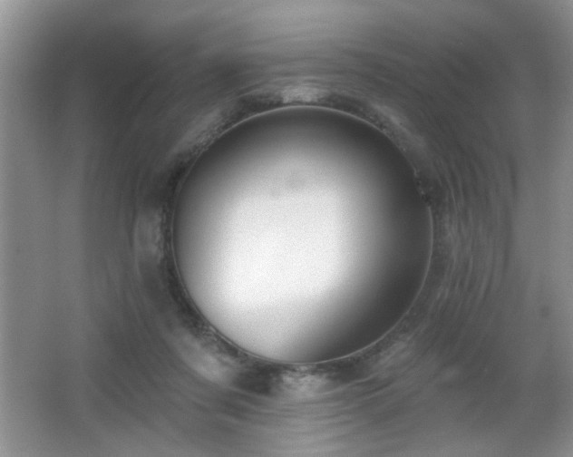 X0000065970311200603031135