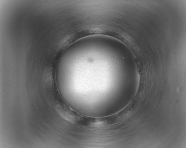 X0000065970312200603031135