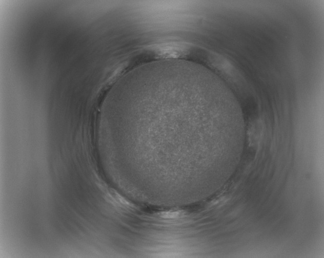 X0000065970314200603031135