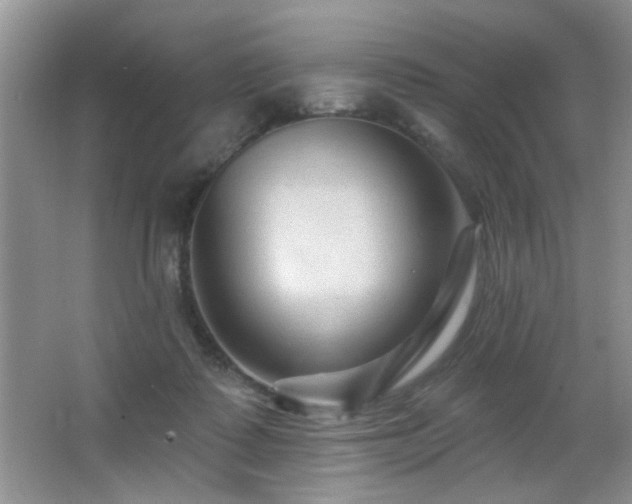 X0000065970315200603031135