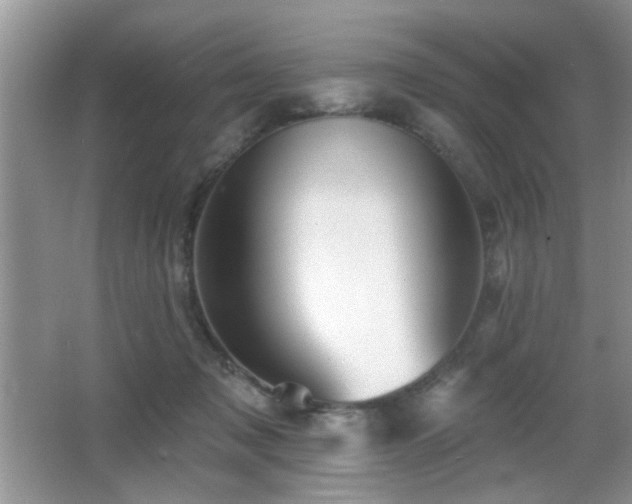 X0000065970317200603031135