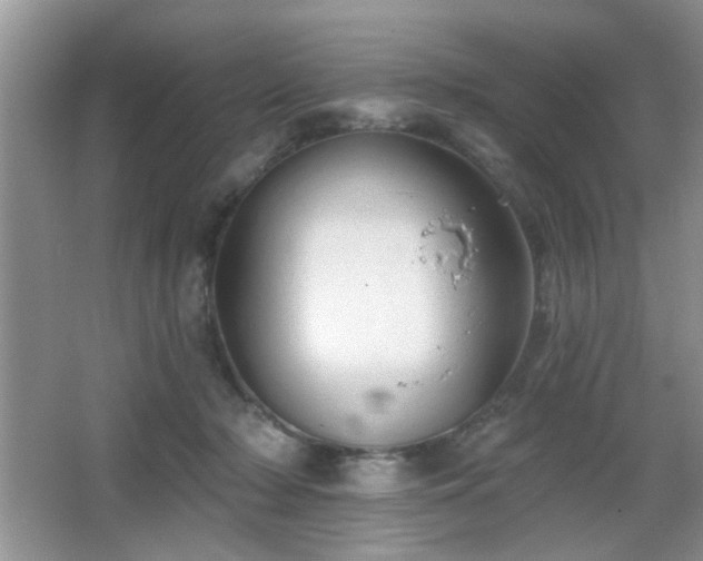 X0000065970318200603031135