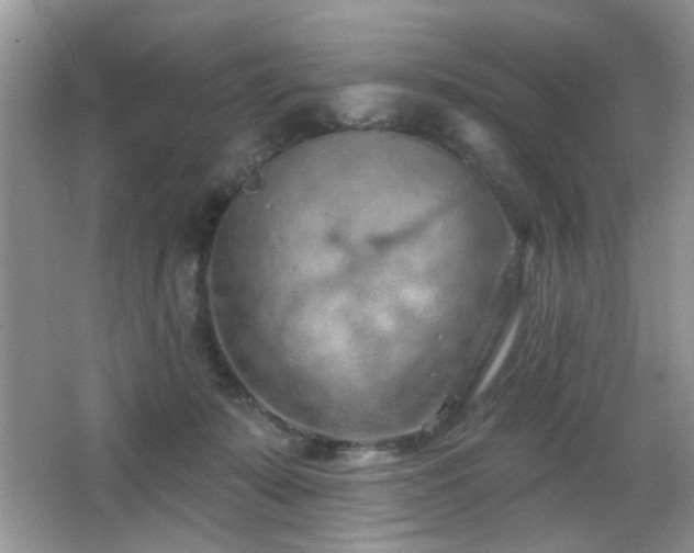 X0000065970319200603031135