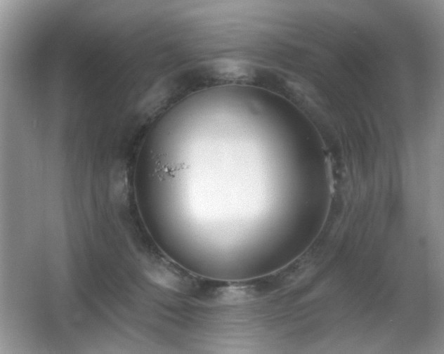 X0000065970320200603031135